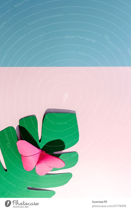 Mehrfarbige Origami-Schmetterlinge von oben Lifestyle Stil Design schön Freizeit & Hobby Spielen Dekoration & Verzierung Tapete Kunst Kultur Papier Spielzeug