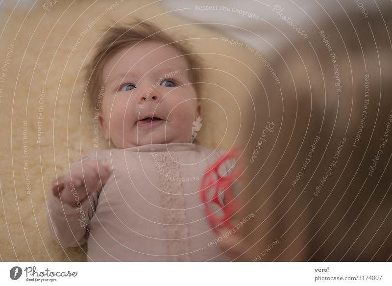 beobachten Baby Mädchen Kopf 2 Mensch 0-12 Monate brünett kurzhaarig Spielzeug entdecken Lächeln leuchten Blick Spielen Freundlichkeit Fröhlichkeit Gesundheit