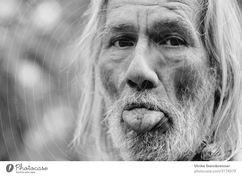 Alter Mann mit langen grauen Haaren streckt die Zunge heraus Mensch maskulin Erwachsene Männlicher Senior Leben Kopf Haare & Frisuren Gesicht Nase Mund 1