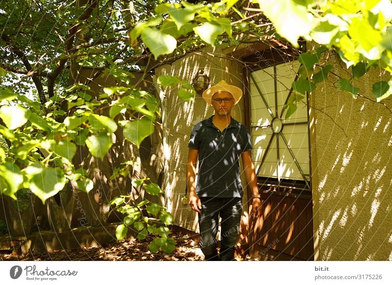 Unterm Blätterdach. maskulin Umwelt Natur Garten Hütte laufen Gärtner Licht Schatten Kontrast Reflexion & Spiegelung Lichterscheinung Sonnenlicht Sonnenstrahlen
