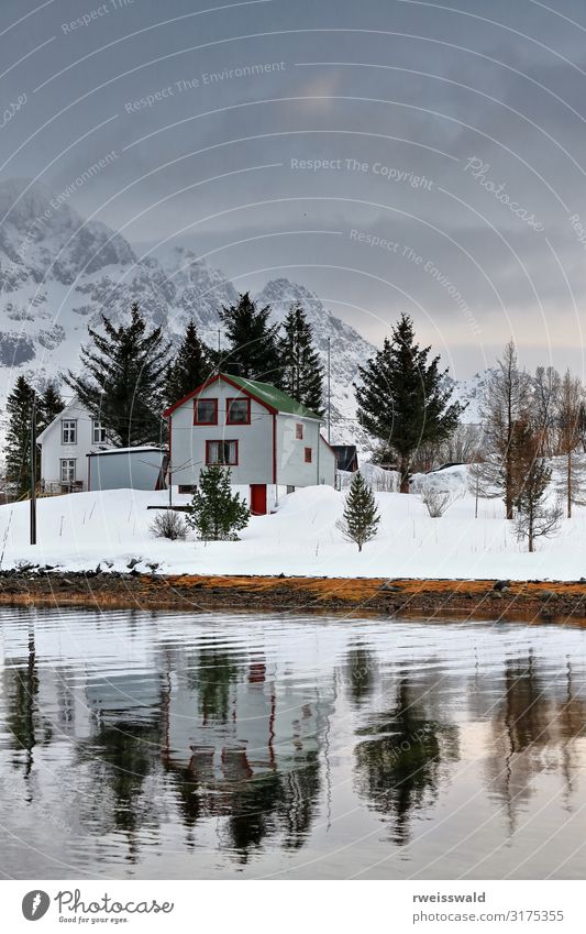 Kabinen reflektiert - Vestpollen Weiler-Austvagoya-Lofoten-Norwegen-096 ruhig Angeln Ferien & Urlaub & Reisen Tourismus Ausflug Sightseeing Meer Insel Winter