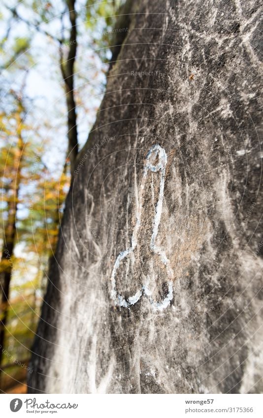Wegemarkierung für einen Nacktwanderweg in der Sächsischen Schweiz! Herbst Sächsische Schweiz Wanderzeichen Wegmarkierung Penis Sexismus Offenheit Wanderwege