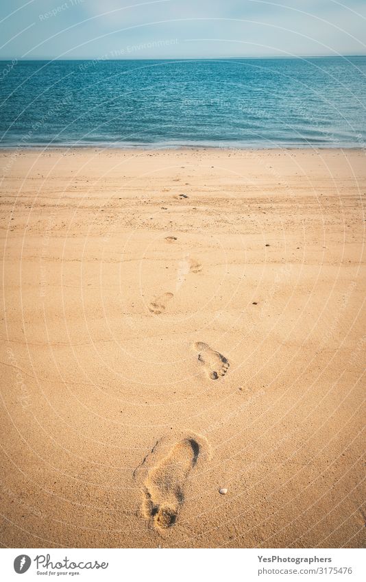 Fußspuren auf goldenem Sand am Nordseestrand auf der Insel Sylt Erholung Ferien & Urlaub & Reisen Sommer Strand Meer Natur Landschaft Klimawandel Wege & Pfade