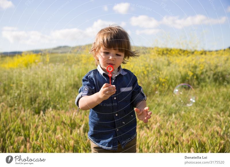 Kind macht im Freien Seifenblasen Lifestyle Sommer Mensch Kleinkind Junge 1 1-3 Jahre Natur Pflanze Wolken Gras Wildpflanze Feld Jeanshose Spielen Fröhlichkeit