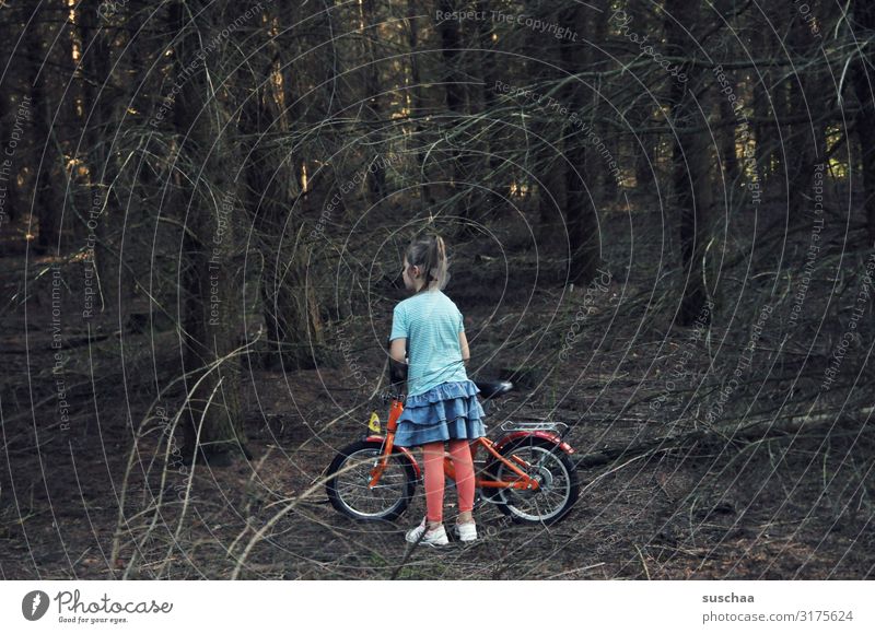 mädchen allein im wald Kind Mädchen Unterholz Wald Baum Ast Waldboden dunkel Einsamkeit einzeln Rock Rotkäppchen verirrt verloren Suche Fahrrad Fahrradtour