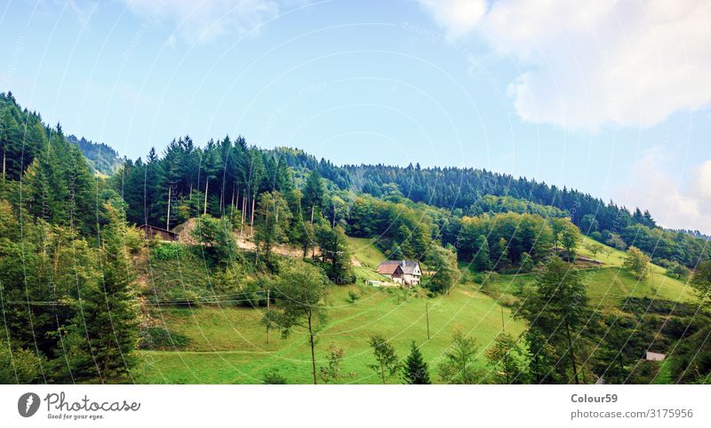 Landschaft im Schwarzwald Ferien & Urlaub & Reisen Tourismus Ausflug Sommer Natur Schönes Wetter Berge u. Gebirge Menschenleer Tradition Europa