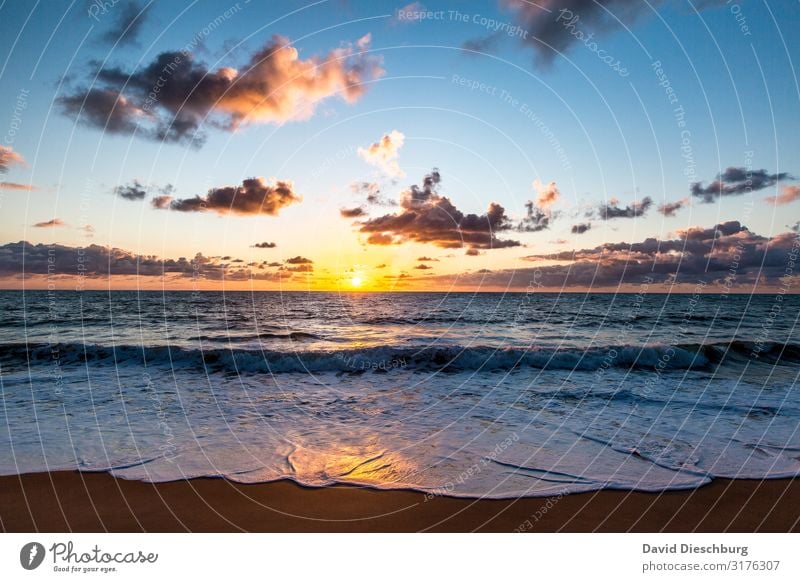 Strand in Bahia Ferien & Urlaub & Reisen Tourismus Ferne Natur Landschaft Sand Wasser Himmel Wolken Frühling Sommer Schönes Wetter Wellen Küste Bucht Meer Insel