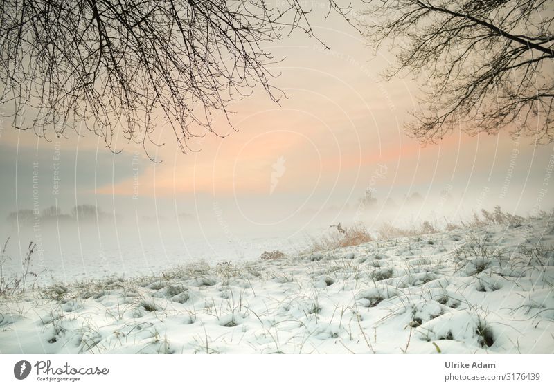 Sonnenaufgang im Winter Design harmonisch Meditation Spa Ferien & Urlaub & Reisen Schnee Winterurlaub Tapete Postkarte Weihnachten & Advent Umwelt Natur