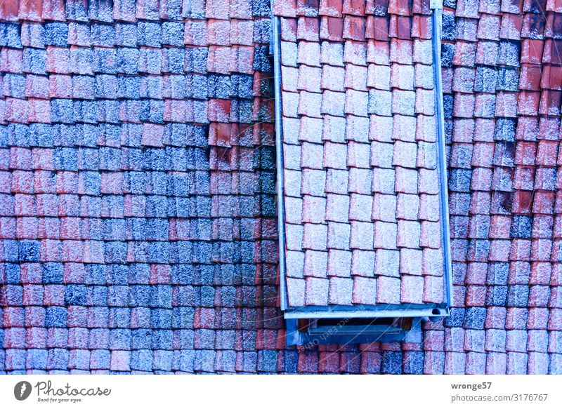 Winterliches Dach Quedlinburg Kleinstadt Stadtzentrum Menschenleer Haus Einfamilienhaus kalt blau braun weiß Dachziegel Frost Eis Raureif Nahaufnahme Querformat