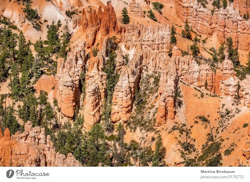 Hoodoo-Formation im Bryce Canyon Nationalpark, Utah Ferien & Urlaub & Reisen Berge u. Gebirge Natur Landschaft Himmel Park Felsen Schlucht Denkmal Stein gold