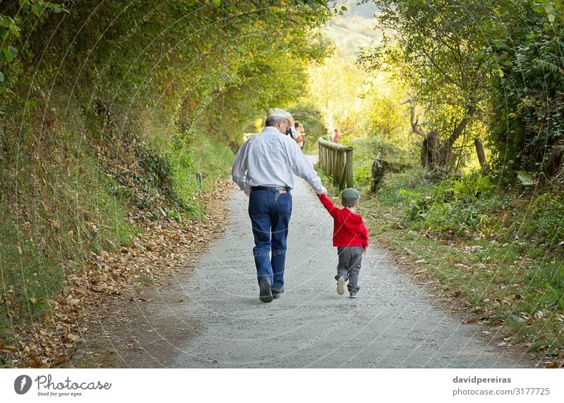 Rückenansicht von Großvater und Enkelkind beim gemeinsamen Spaziergang Lifestyle Freude Glück Freizeit & Hobby Sommer Kind Baby Junge Mann Erwachsene Eltern