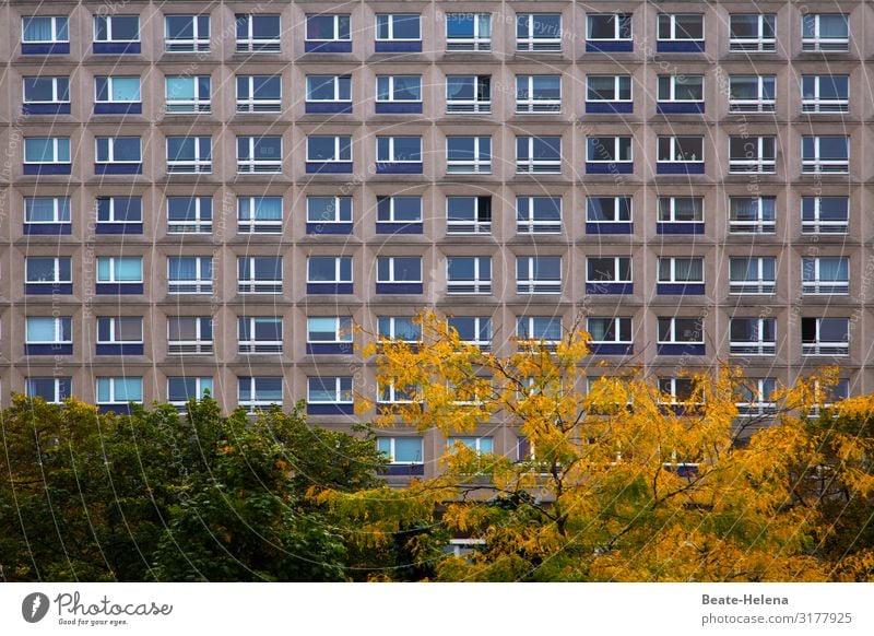 Urban 1 Gebäude Großstadt Wohnhaus Architektur Berlin Bauwerk Stadtzentrum