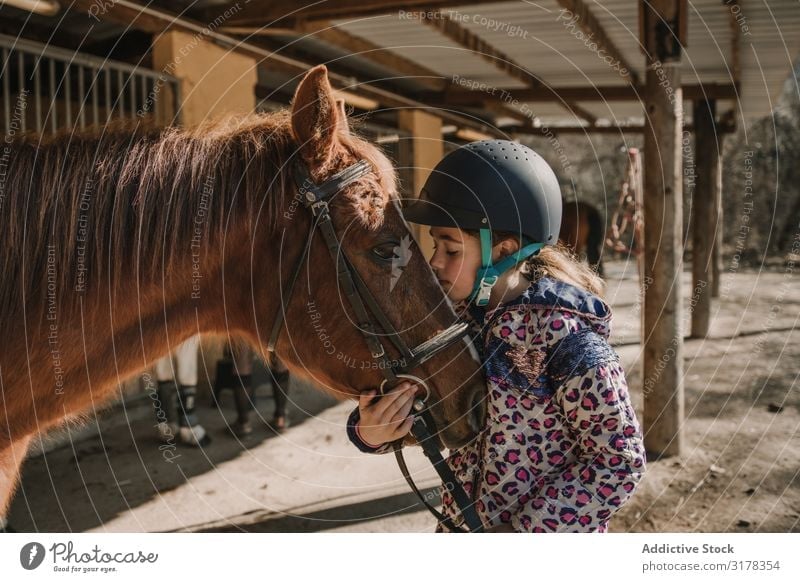 Mädchen, das ein Pferd küsst. Küssen Zaumzeug Pferdestall Verkaufswagen Schulunterricht Pferderücken Reiten Ranch Frau Tier Jugendliche Kind Fürsorge Gerät