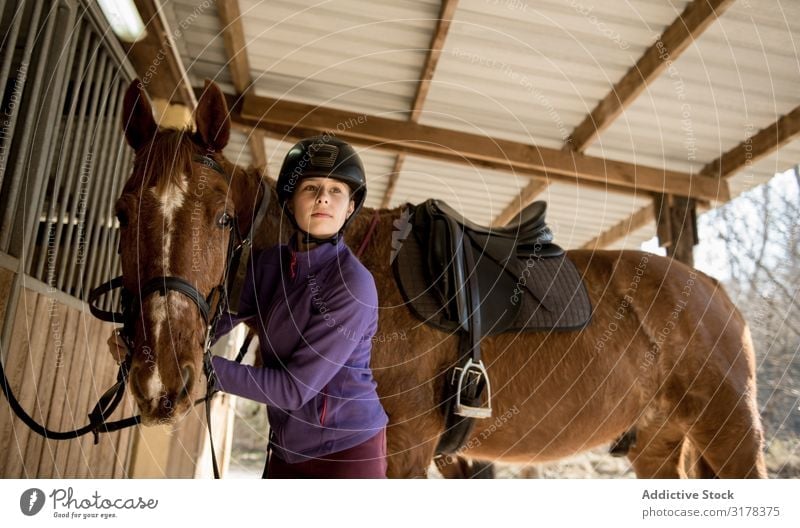 Frau und Mädchen bürsten Pferd Zaumzeug bürstend Pferdestall Verkaufswagen Schulunterricht Pferderücken Reiten Ranch Tier Jugendliche Kind Fürsorge Gerät