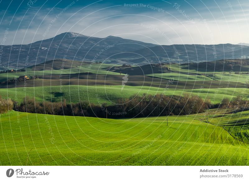 Wunderschöne leere grüne Felder Panorama (Bildformat) Toskana Mittelgebirge Italien Unendlichkeit Gras Hügel Landschaft Natur Länder Jahreszeiten Sommer Wiese