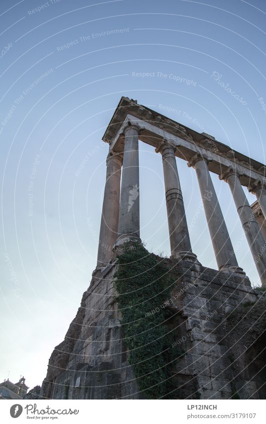 R O M. II Ferien & Urlaub & Reisen Tourismus Ausflug Landschaft Park Rom Italien Bauwerk gigantisch historisch ästhetisch Vergangenheit Zerstörung Forum Romanum
