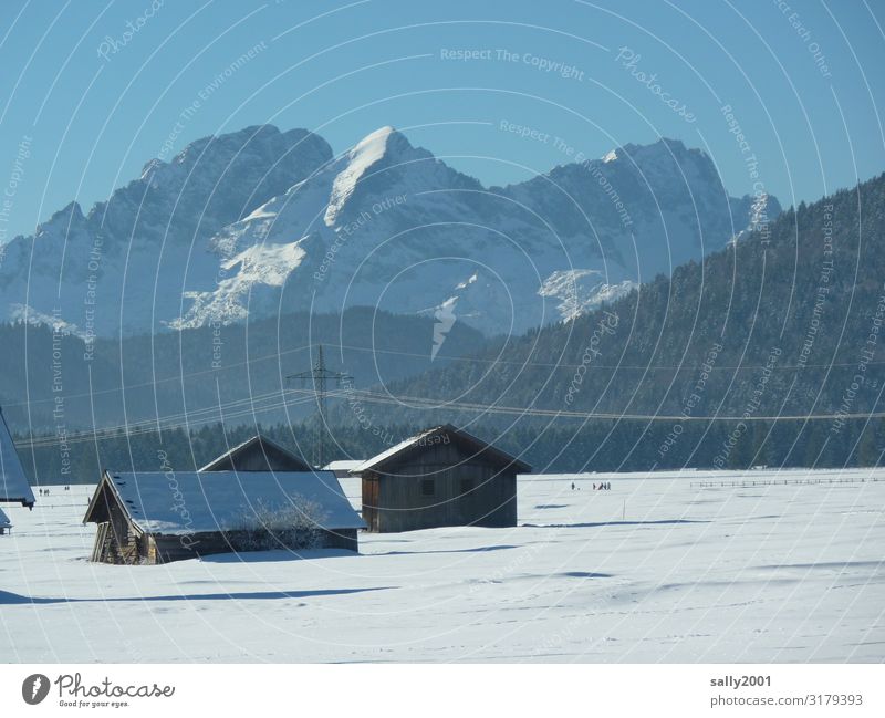 Winteridylle... Landschaft Wolkenloser Himmel Schönes Wetter Schnee Alpen Berge u. Gebirge kalt Zufriedenheit Einsamkeit Erholung Idylle Natur Ferne Bayern