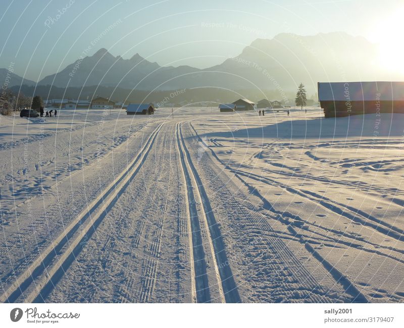 Wintersportmärchen... Sport Skilanglauf Loipe Landschaft Wolkenloser Himmel Sonnenaufgang Sonnenuntergang Sonnenlicht Schönes Wetter Schnee Alpen