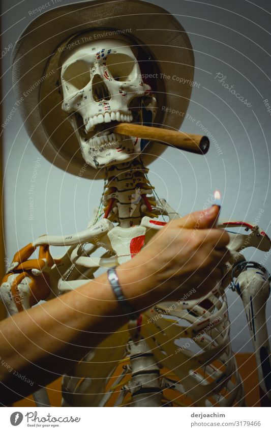 Die letzte Zigarrre im Skelett - Mund mit Hut. Eine von der Seite hinreichende Hand mit brennenden Feuerzeug, will die Zigarre anstecken. maskulin Mann
