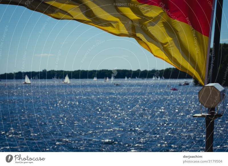 Ein Tag am See. Blauer Himmel,  Segelboote und eine Flagge im Wind. Freude Erholung Segeln Ausflug Sommer Wassersport Bootsfahrt Umwelt Schönes Wetter Seeufer