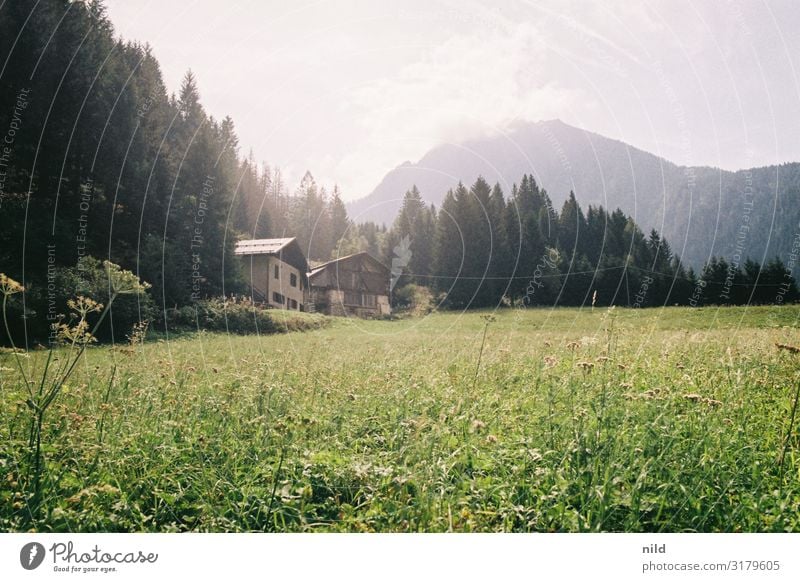 Val di Sole Erholung ruhig Ferien & Urlaub & Reisen Tourismus Sommer Sommerurlaub Umwelt Natur Landschaft Schönes Wetter Wiese Alpen Berge u. Gebirge Dorf Haus