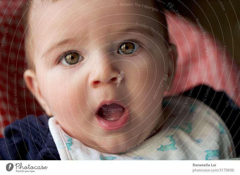 Porträt eines kleinen Jungen Lifestyle schön Kind Mensch maskulin Baby Kopf 1 0-12 Monate Glatze rebellisch Überraschung Babyjunge Kaukasier expressiv Auge