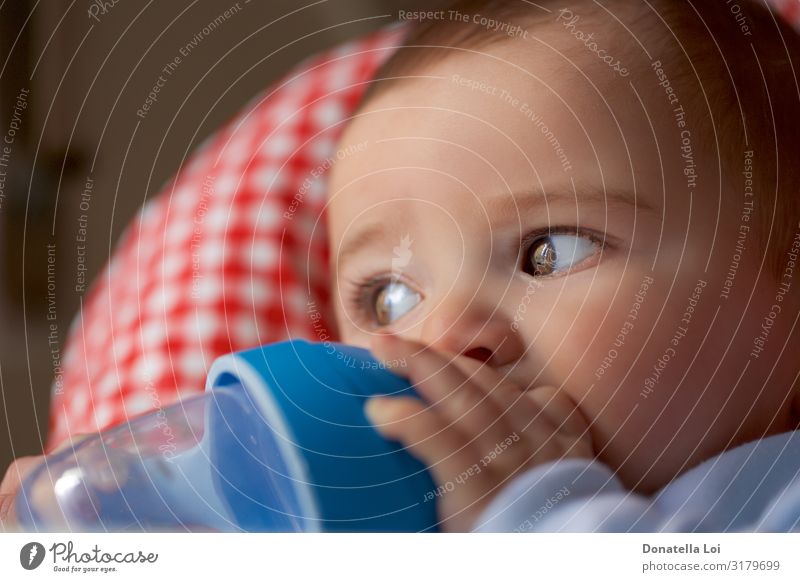 Porträt eines kleinen Jungen, der aus der Flasche trinkt. Ernährung Frühstück Getränk Trinkwasser schön Kind Baby kurzhaarig Kunststoff füttern Kindheit