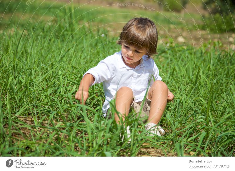 Hübscher Junge sitzt auf dem Rasen Lifestyle Freizeit & Hobby Ferien & Urlaub & Reisen Freiheit Sommerurlaub Kind Mensch maskulin Kindheit 1 1-3 Jahre Kleinkind