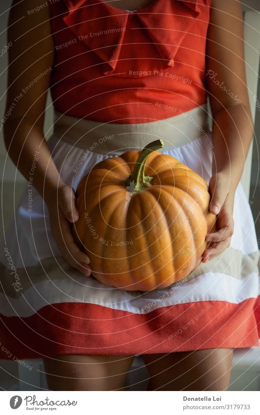 Mädchen mit Kürbis in der Hand Gemüse Ernährung Essen Lifestyle Halloween Mensch feminin Kindheit Beine 1 8-13 Jahre Natur Herbst Bekleidung Diät füttern warten