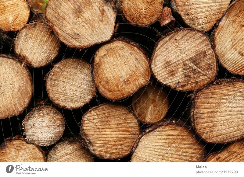 Frisch gesägte Stämme liegen im Wald abstrakt braun Durchschnitt Brennholz Holz Material Natur natürlich Stapel Strukturen & Formen Baum Baumstamm