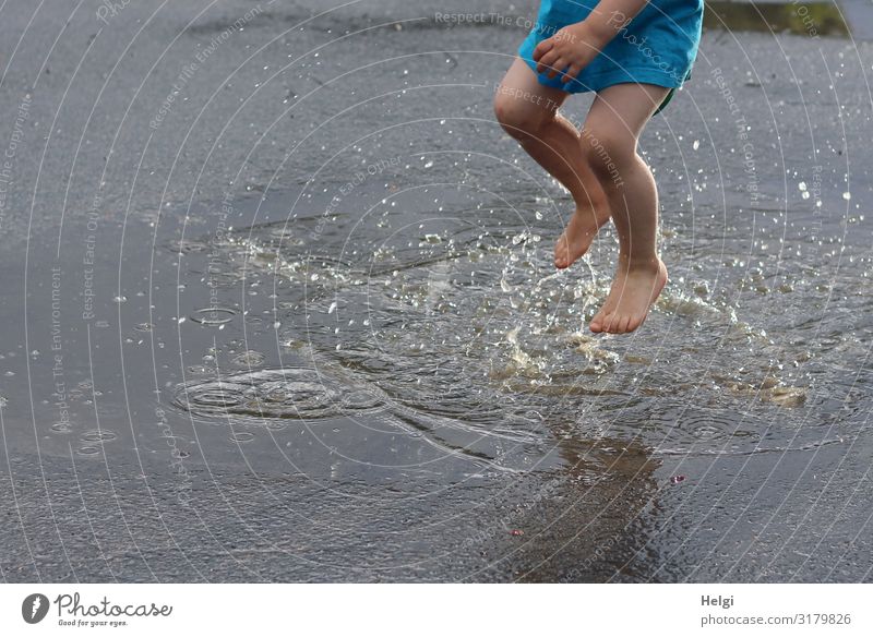 Detailaufnahme eines Kindes, das barfuß in eine Pfütze springt Mensch maskulin Beine Fuß 1 3-8 Jahre Kindheit Umwelt Natur Wasser Sommer Schönes Wetter Platz