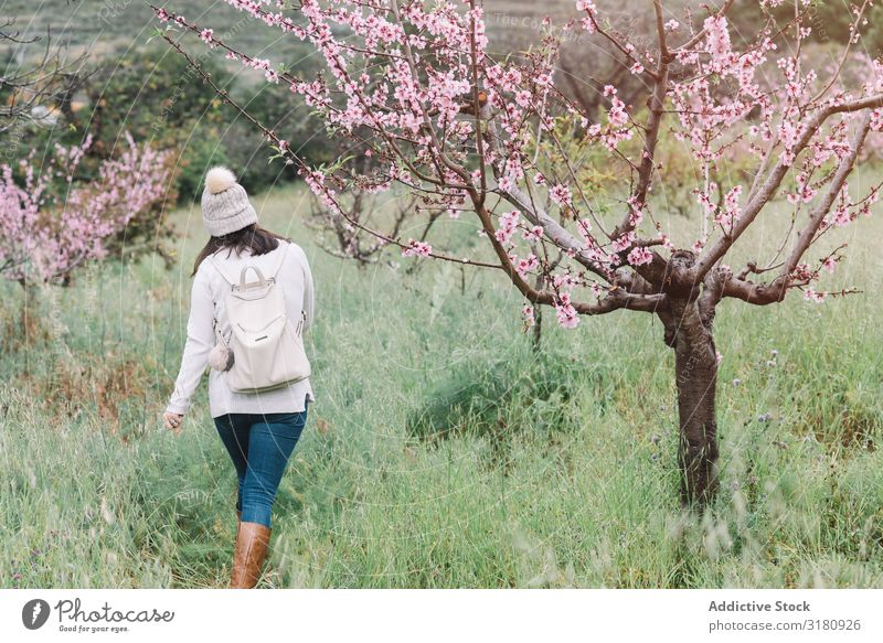Anonyme Frau, die in der Nähe eines blühenden Baumes geht. Blume laufen Landschaft Frühling Ferien & Urlaub & Reisen Natur Freizeit & Hobby Lifestyle Ausflug
