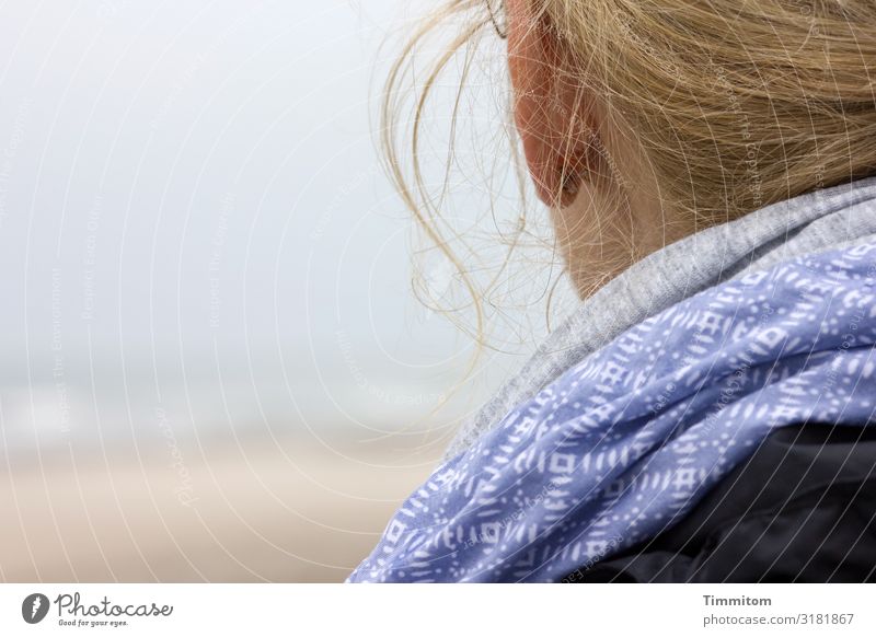 Dauerbrenner | Aufs Meer schauen Nordsee Frau Kopf Haare & Frisuren Tuch aufs Meer schauen Dänemark Ferien & Urlaub & Reisen Strand Himmel Ruhe Entspannung