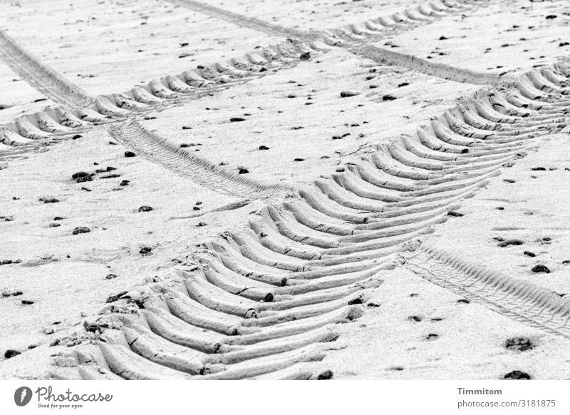 Ober sticht Unter Ferien & Urlaub & Reisen Umwelt Natur Urelemente Sand Strand Nordsee Dänemark Verkehr Linie ästhetisch grau schwarz weiß Gefühle Schwäche