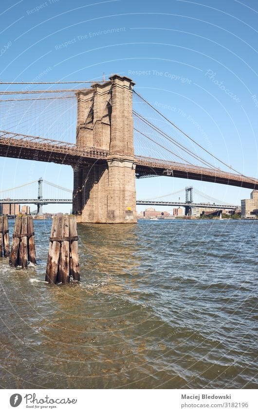 Brooklyn Bridge und East River an einem sonnigen Tag, NYC. Ferien & Urlaub & Reisen Sightseeing Städtereise Sommer Himmel Fluss Brücke New York State Großstadt