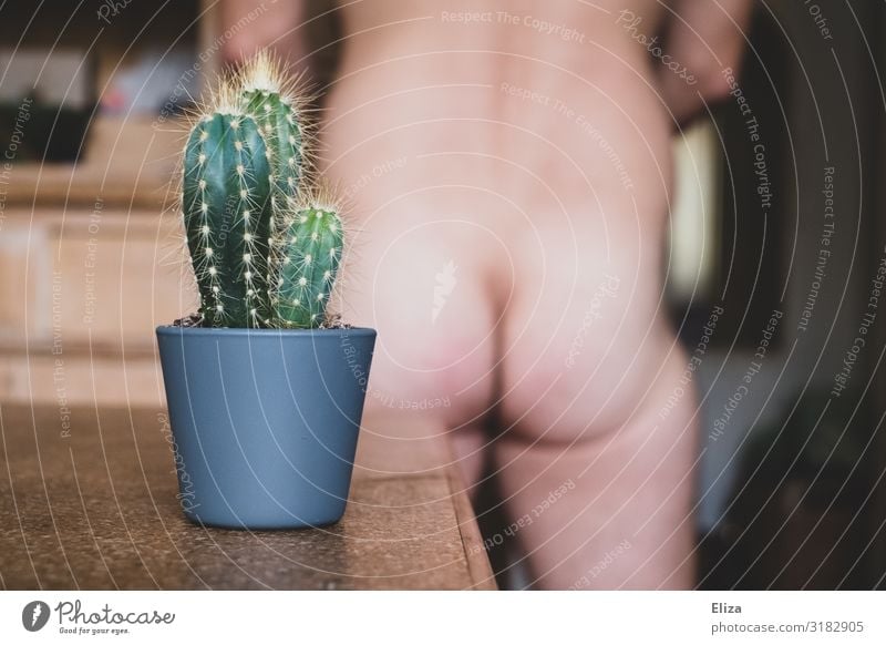 Nackter Männerhintern mit Kaktus Mensch maskulin Rücken Gesäß bedrohlich nackt provokant Häusliches Leben Krankheit Spitze grün Aufregung Erektion Sexualität