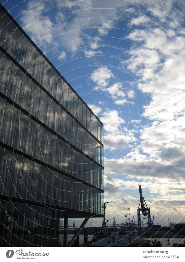 Hamburg Hafen 1 Hafencity Kran Wolken Architektur Wasser Himmel