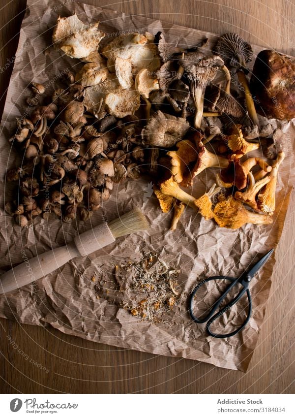 Pinsel und Schere in der Nähe von getrockneten Pilzen Pergament Papier Bürste Tisch Zutaten Lebensmittel natürlich essbar frisch Vegane Ernährung Gesundheit