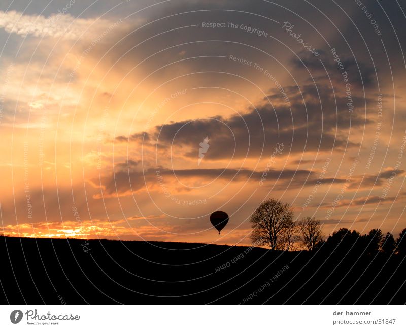 bis ans Ende der Welt Wolken Baum Ballone Sträucher Sonnenuntergang Himmel Abenddämmerung