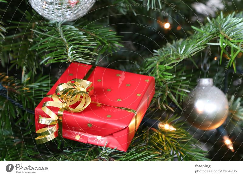 Weihnachten Dekoration & Verzierung Weihnachten & Advent Baum Tannenzweig Tannennadel Kerze Geschenk Freude ruhig Adventsgestell Adventskranz Adventsschale