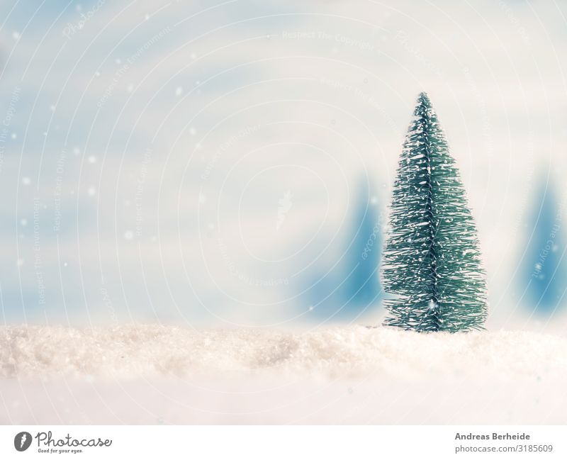 Tannenbaum Stil Design Winter Schnee Weihnachten & Advent Ornament trendy kalt retro decor Hintergrundbild tree snow season holiday greeting fir celebration