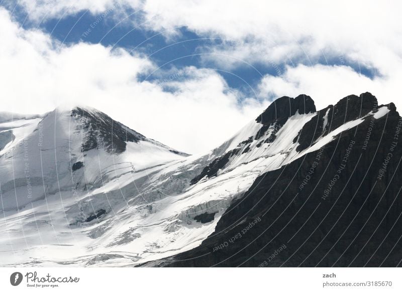 Gletscherreste Landschaft Himmel Wolken Schönes Wetter Schnee Felsen Berge u. Gebirge Rocky Mountains Gipfel Schneebedeckte Gipfel Jasper National Park