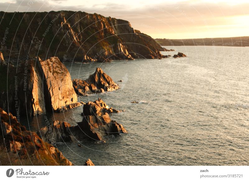 am Ende des Tages Landschaft Wasser Sonnenaufgang Sonnenuntergang Schönes Wetter Hügel Felsen Wellen Küste Meer Insel Britische Inseln Großbritannien Wales