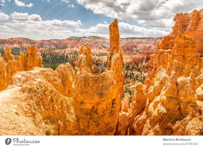Panoramablick über den Bryce Canyon Utah Ferien & Urlaub & Reisen Berge u. Gebirge Natur Landschaft Himmel Park Felsen Schlucht Denkmal Stein gold rot