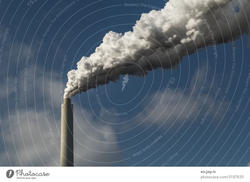 Zukunft? Fabrik Industrie Fortschritt Energiewirtschaft Erneuerbare Energie Kohlekraftwerk Energiekrise Umwelt Himmel Klima Schönes Wetter Schornstein Rauchen