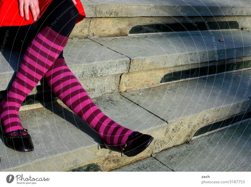 Treppe mit Socken Mensch feminin Junge Frau Jugendliche Erwachsene Beine 1 sitzen grau Farbfoto Außenaufnahme Textfreiraum Mitte Tag