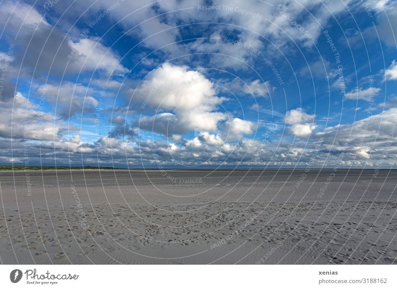 Weite am Strand mit Wölkchen vor blauem himmel Ferien & Urlaub & Reisen Natur Landschaft Himmel Wolken Horizont Klima Wetter Schönes Wetter Küste Unendlichkeit