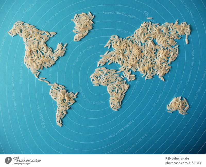 Weltkarte aus Reis Globus Umwelt Ressource Kontinente Appetit & Hunger notleidend Essen Lebensmittel Erde Planet blau Papier graphisch abstrakt Idee Kreativität
