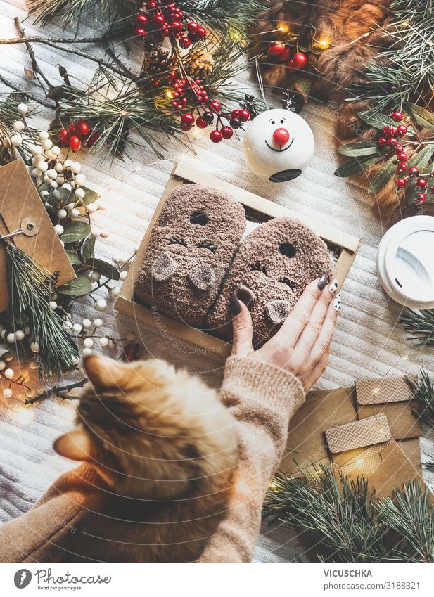 Gemütliche Weihnachtsstimmung mit Katze und Geschenk Lifestyle kaufen Stil Design Freude Winter Häusliches Leben Feste & Feiern Weihnachten & Advent Mensch Frau