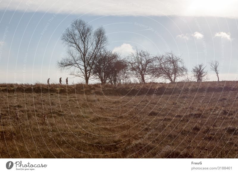 Wanderlust | geht auch in der kalten Jahreszeit Landschaft Natur Wiese Gras Bäume Sträucher ohne Blätter Himmel Wolken Sonne Wind Winter karg Menschen 3